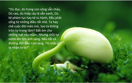 1500++ những câu nói hay về cuộc sống làm thay đổi cuộc đời bạn