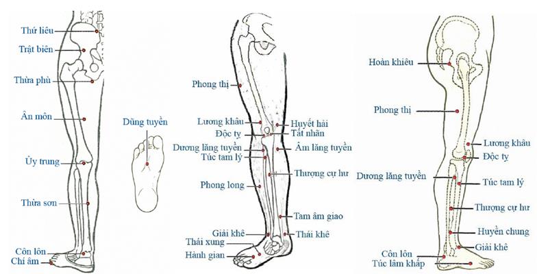 20 huyệt vùng chân