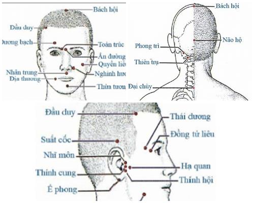 20 huyệt ở đầu mặt cổ 
