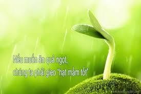 Nhân thế nào thì quả thế ấy