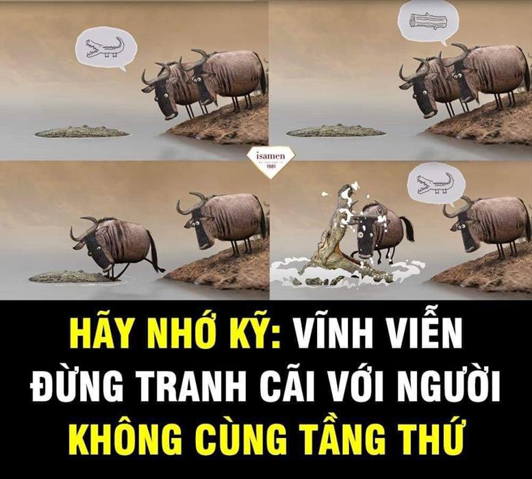 HÃY NHỚ : VĨNH VIỄN ĐỪNG TRANH CÃI VỚI NGƯỜI KHÔNG CÙNG TẦNG THỨ