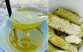 TÁC DỤNG MẬT ONG BẠC HÀ