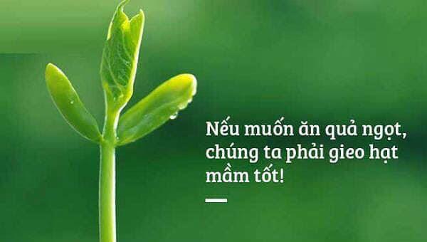 Ngôn ngữ sự tử tế