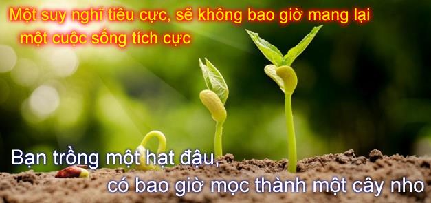 Thứ quyết định vận mệnh sang hèn của chúng ta?