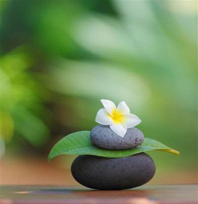 Những câu thư pháp nói về cuộc sống